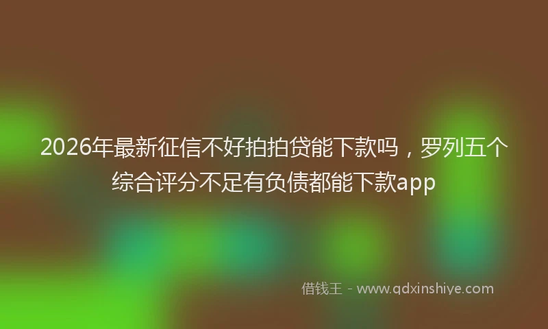 2026年最新征信不好拍拍贷能下款吗，罗列五个综合评分不足有负债都能下款app