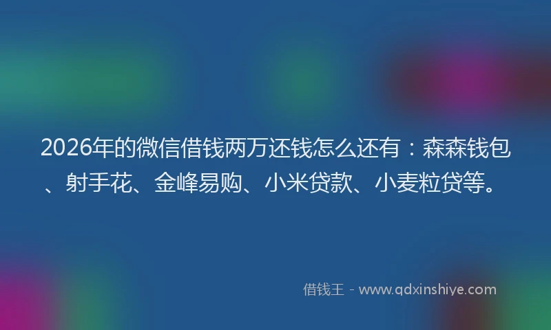2026年的微信借钱两万还钱怎么还有：森森钱包、射手花、金峰易购、小米贷款、小麦粒贷等。