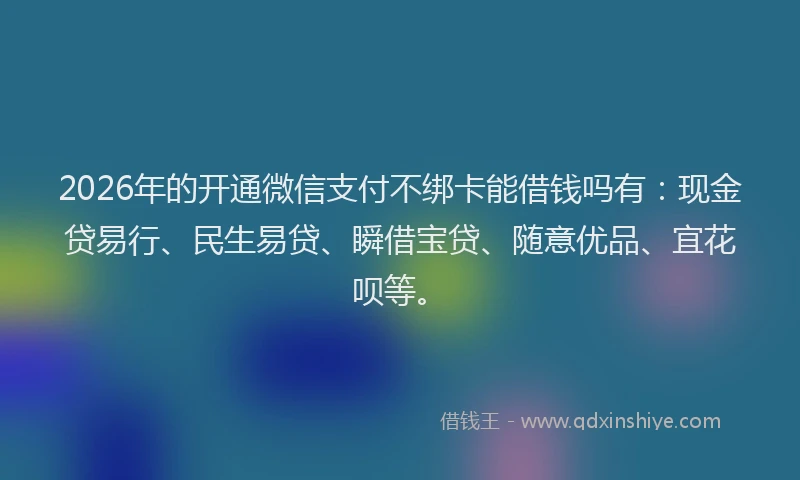 2026年的开通微信支付不绑卡能借钱吗有：现金贷易行、民生易贷、瞬借宝贷、随意优品、宜花呗等。