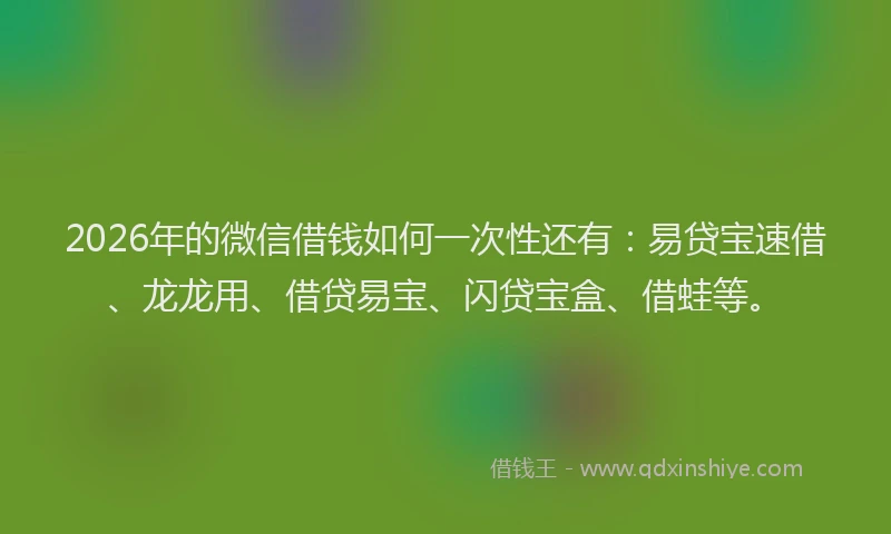 2026年的微信借钱如何一次性还有：易贷宝速借、龙龙用、借贷易宝、闪贷宝盒、借蛙等。