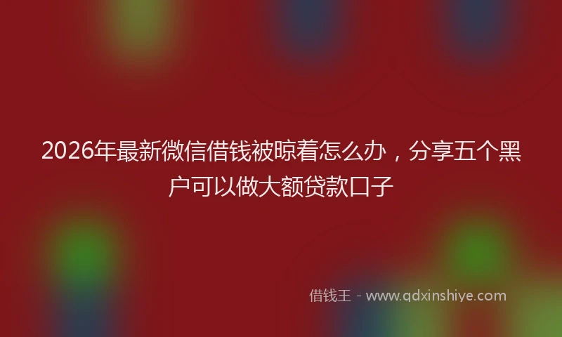 2026年最新微信借钱被晾着怎么办，分享五个黑户可以做大额贷款口子