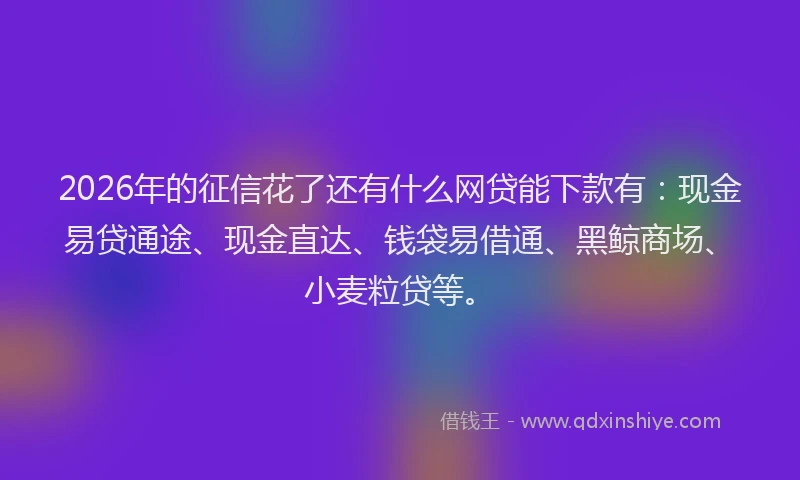 2026年的征信花了还有什么网贷能下款有：现金易贷通途、现金直达、钱袋易借通、黑鲸商场、小麦粒贷等。