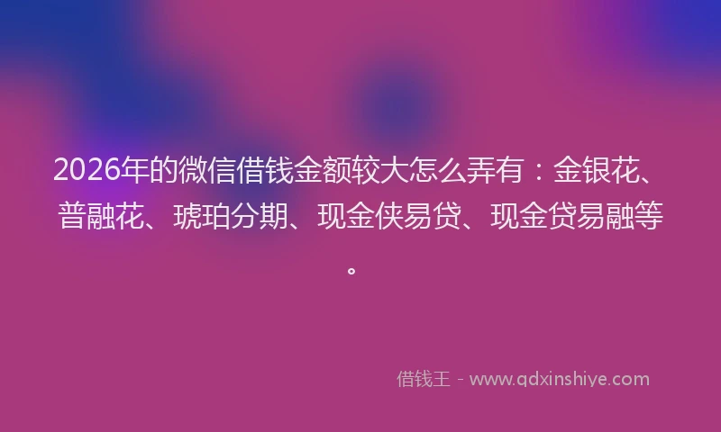 2026年的微信借钱金额较大怎么弄有：金银花、普融花、琥珀分期、现金侠易贷、现金贷易融等。