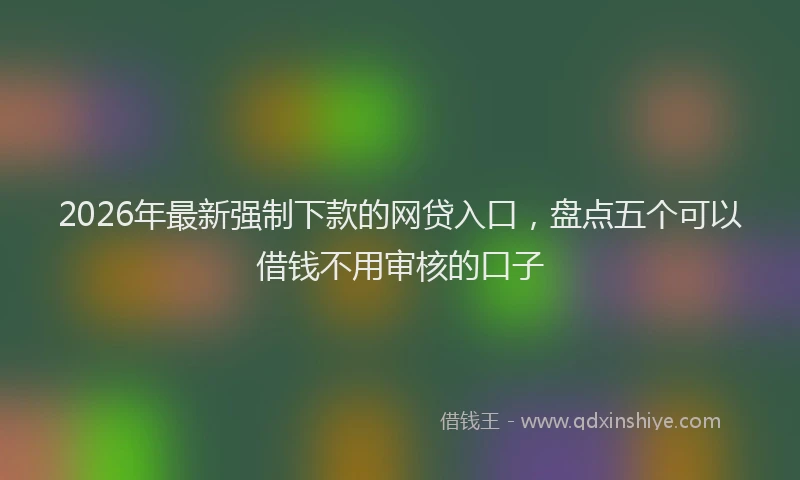 2026年最新强制下款的网贷入口，盘点五个可以借钱不用审核的口子