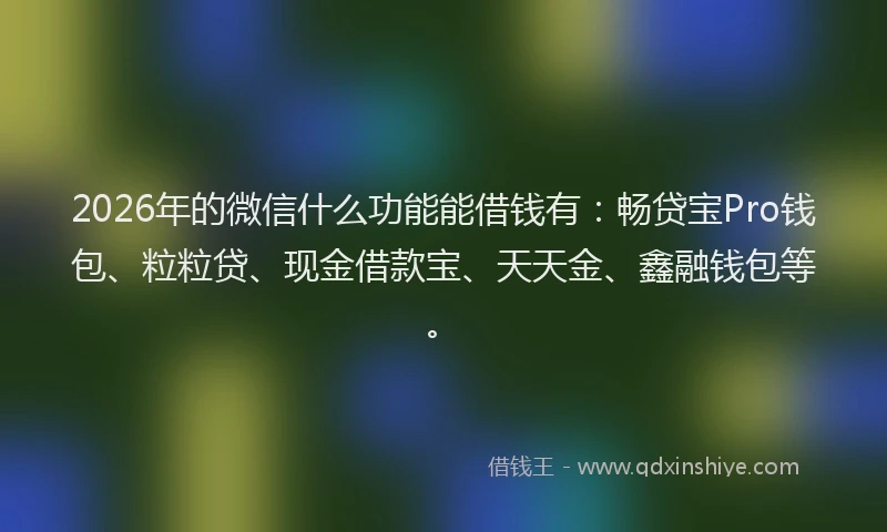2026年的微信什么功能能借钱有：畅贷宝Pro钱包、粒粒贷、现金借款宝、天天金、鑫融钱包等。