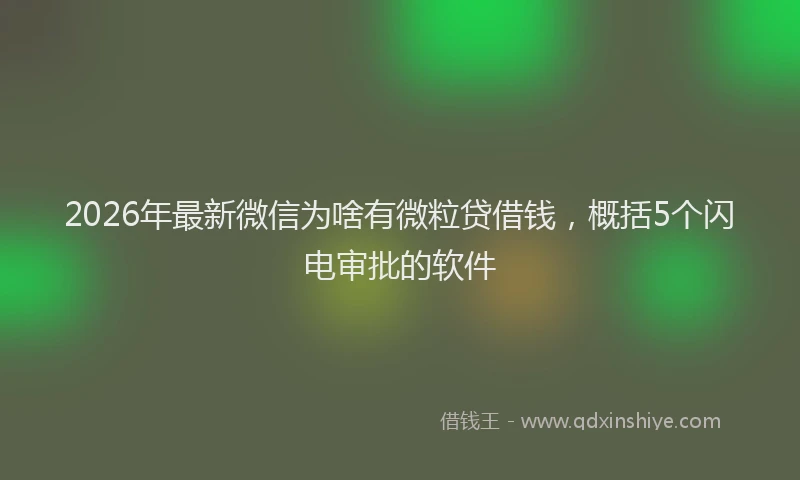 2026年最新微信为啥有微粒贷借钱，概括5个闪电审批的软件