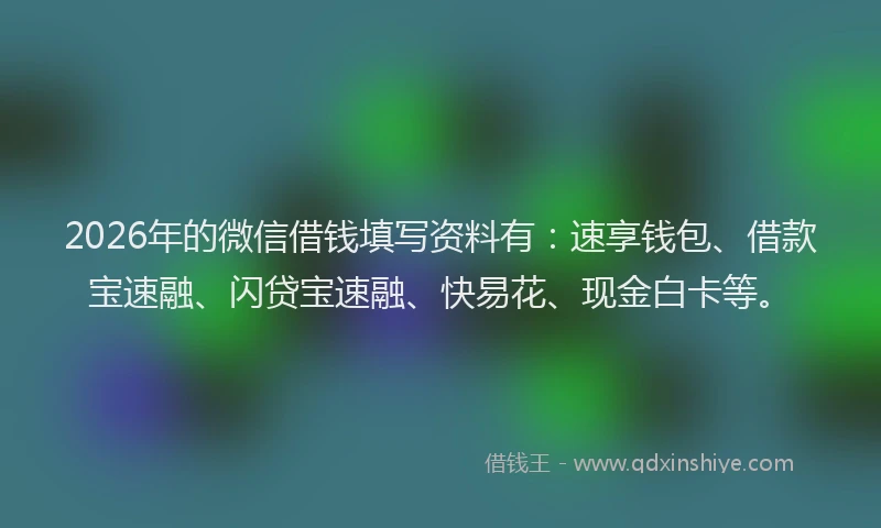 2026年的微信借钱填写资料有：速享钱包、借款宝速融、闪贷宝速融、快易花、现金白卡等。
