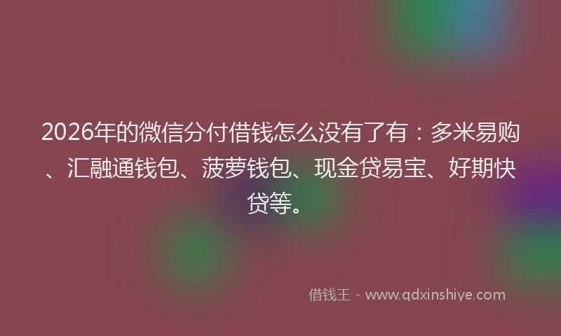 2026年的微信分付借钱怎么没有了有：多米易购、汇融通钱包、菠萝钱包、现金贷易宝、好期快贷等。
