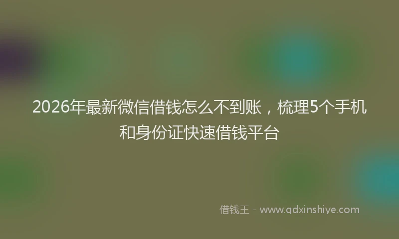 2026年最新微信借钱怎么不到账，梳理5个手机和身份证快速借钱平台