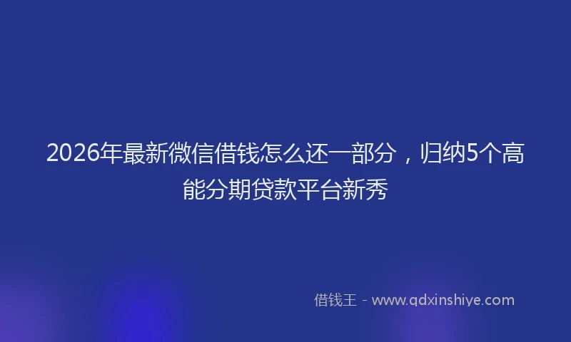 2026年最新微信借钱怎么还一部分，归纳5个高能分期贷款平台新秀