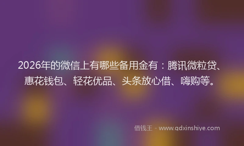 2026年的微信上有哪些备用金有：腾讯微粒贷、惠花钱包、轻花优品、头条放心借、嗨购等。