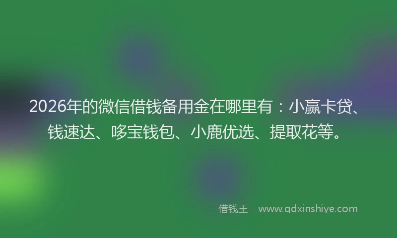 2026年的微信借钱备用金在哪里有：小赢卡贷、钱速达、哆宝钱包、小鹿优选、提取花等。
