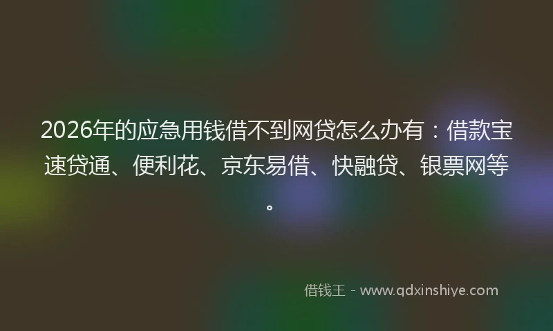 2026年的应急用钱借不到网贷怎么办有：借款宝速贷通、便利花、京东易借、快融贷、银票网等。