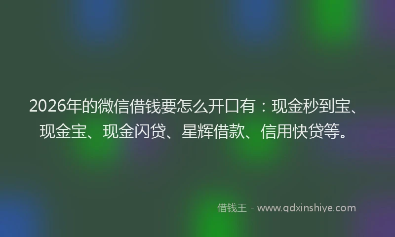 2026年的微信借钱要怎么开口有：现金秒到宝、现金宝、现金闪贷、星辉借款、信用快贷等。