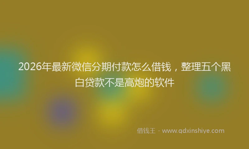 2026年最新微信分期付款怎么借钱，整理五个黑白贷款不是高炮的软件