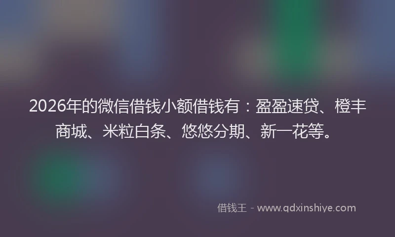 2026年的微信借钱小额借钱有：盈盈速贷、橙丰商城、米粒白条、悠悠分期、新一花等。