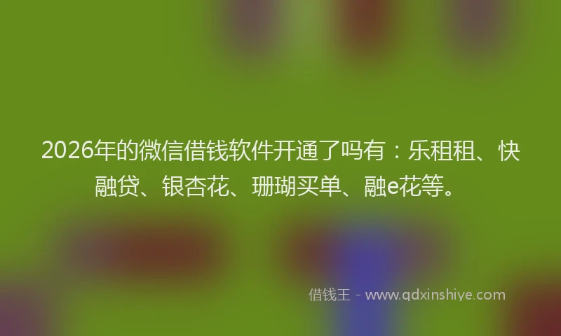 2026年的微信借钱软件开通了吗有：乐租租、快融贷、银杏花、珊瑚买单、融e花等。