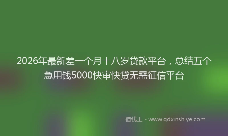 2026年最新差一个月十八岁贷款平台，总结五个急用钱5000快审快贷无需征信平台