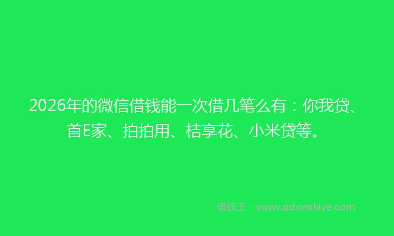 2026年的微信借钱能一次借几笔么有：你我贷、首E家、拍拍用、桔享花、小米贷等。