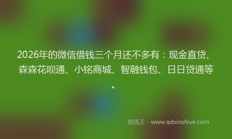2026年的微信借钱三个月还不多有：现金直贷、森森花呗通、小铭商城、智融钱包、日日贷通等。