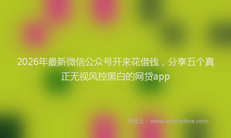 2026年最新微信公众号开来花借钱，分享五个真正无视风控黑白的网贷app