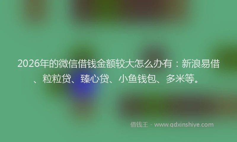 2026年的微信借钱金额较大怎么办有：新浪易借、粒粒贷、臻心贷、小鱼钱包、多米等。