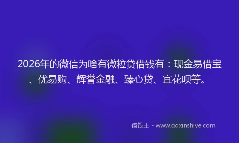 2026年的微信为啥有微粒贷借钱有：现金易借宝、优易购、辉誉金融、臻心贷、宜花呗等。