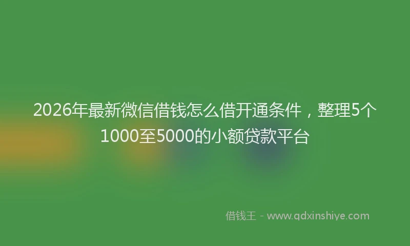 2026年最新微信借钱怎么借开通条件，整理5个1000至5000的小额贷款平台