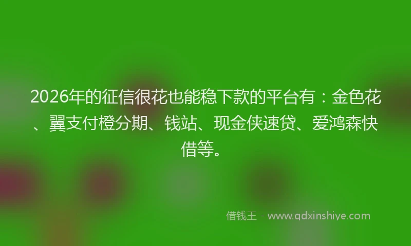 2026年的征信很花也能稳下款的平台有：金色花、翼支付橙分期、钱站、现金侠速贷、爱鸿森快借等。
