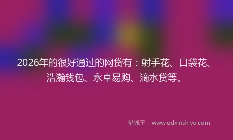 2026年的很好通过的网贷有：射手花、口袋花、浩瀚钱包、永卓易购、滴水贷等。