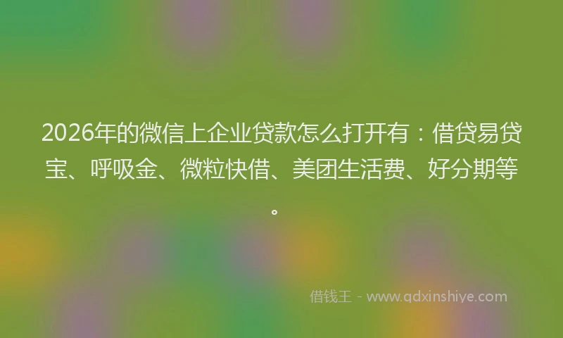 2026年的微信上企业贷款怎么打开有：借贷易贷宝、呼吸金、微粒快借、美团生活费、好分期等。