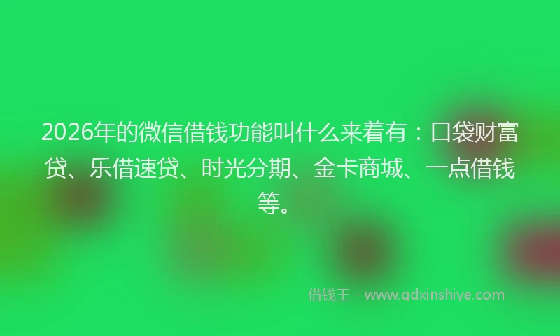 2026年的微信借钱功能叫什么来着有：口袋财富贷、乐借速贷、时光分期、金卡商城、一点借钱等。