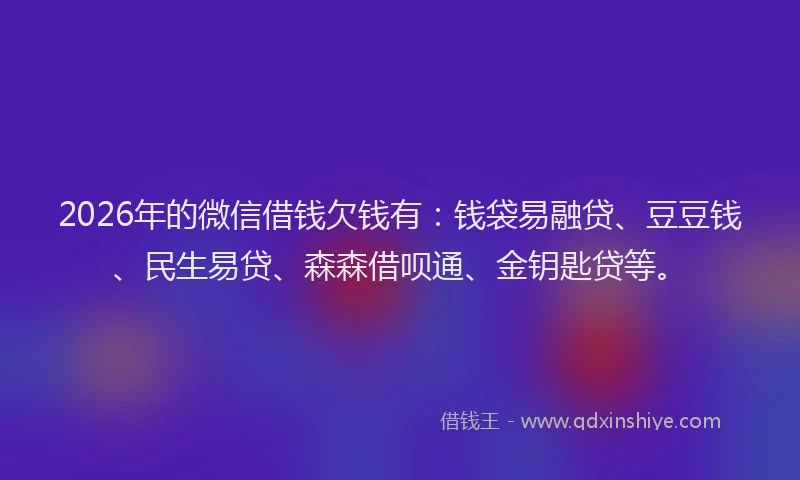 2026年的微信借钱欠钱有：钱袋易融贷、豆豆钱、民生易贷、森森借呗通、金钥匙贷等。