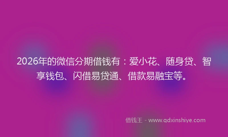 2026年的微信分期借钱有：爱小花、随身贷、智享钱包、闪借易贷通、借款易融宝等。