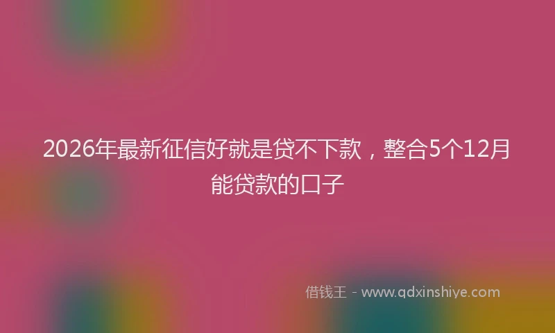 2026年最新征信好就是贷不下款，整合5个12月能贷款的口子