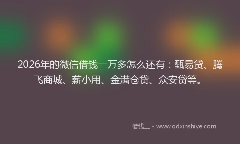 2026年的微信借钱一万多怎么还有：甄易贷、腾飞商城、薪小用、金满仓贷、众安贷等。
