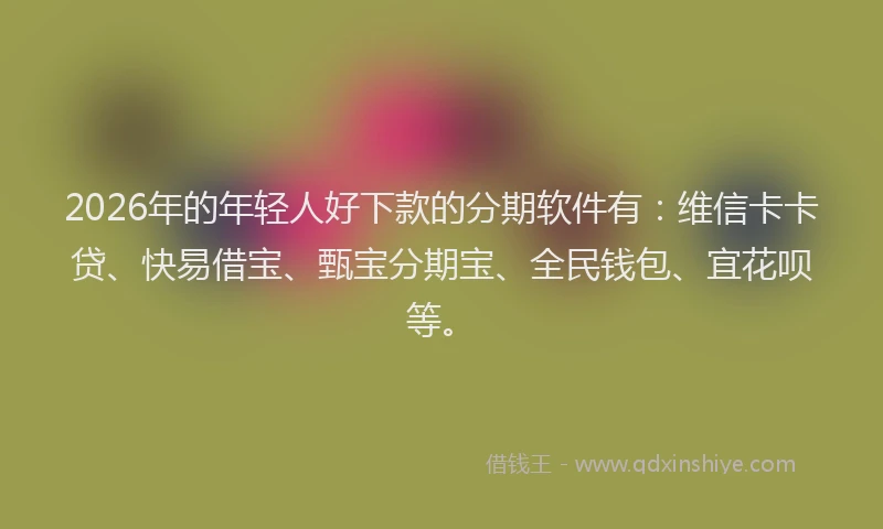 2026年的年轻人好下款的分期软件有：维信卡卡贷、快易借宝、甄宝分期宝、全民钱包、宜花呗等。