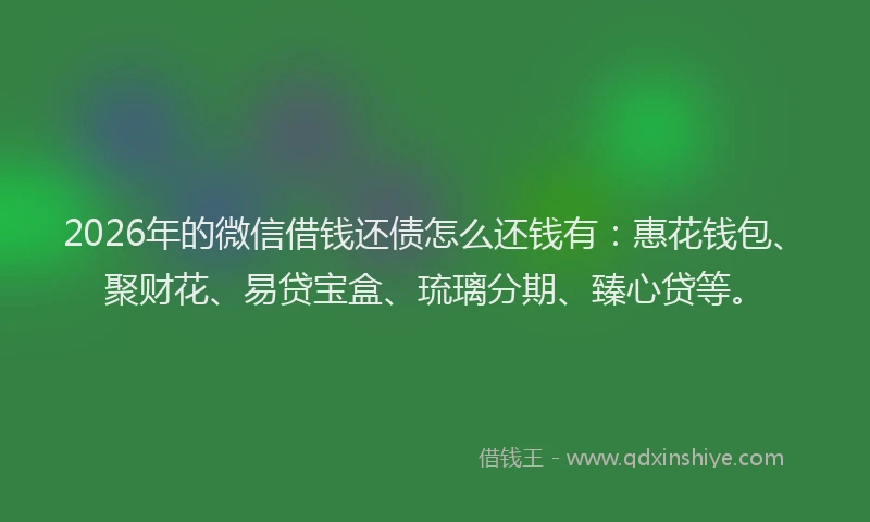 2026年的微信借钱还债怎么还钱有：惠花钱包、聚财花、易贷宝盒、琉璃分期、臻心贷等。