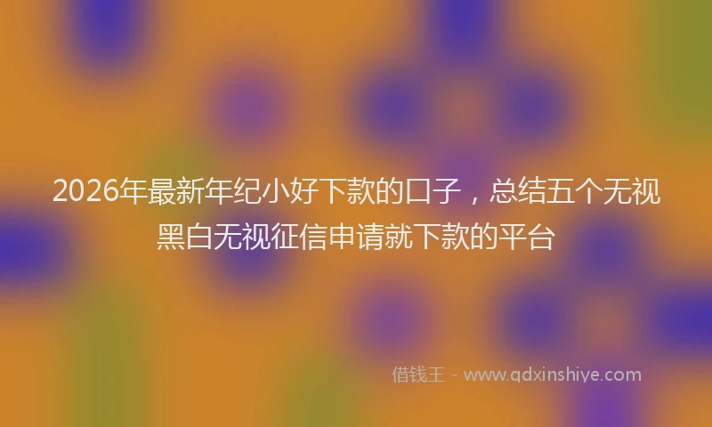 2026年最新年纪小好下款的口子，总结五个无视黑白无视征信申请就下款的平台