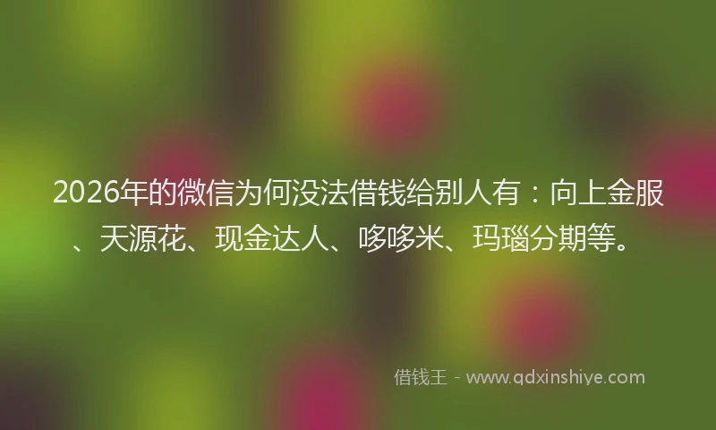 2026年的微信为何没法借钱给别人有：向上金服、天源花、现金达人、哆哆米、玛瑙分期等。