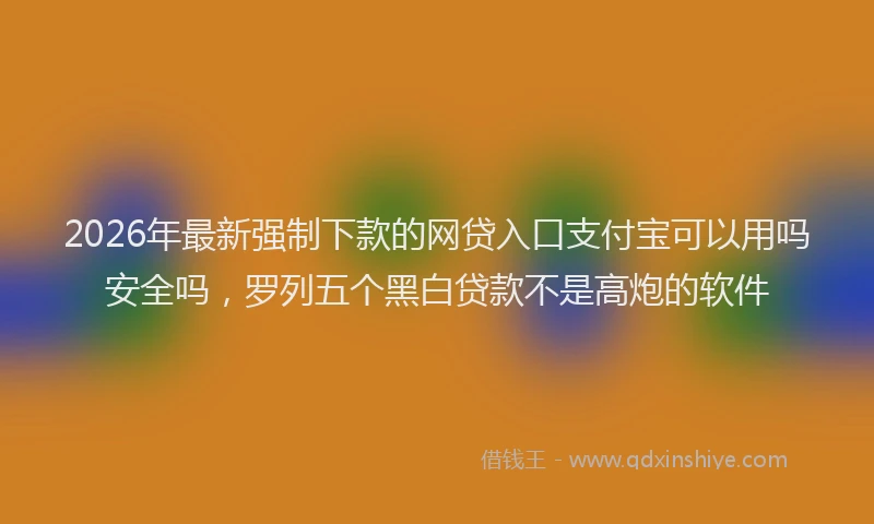 2026年最新强制下款的网贷入口支付宝可以用吗安全吗，罗列五个黑白贷款不是高炮的软件