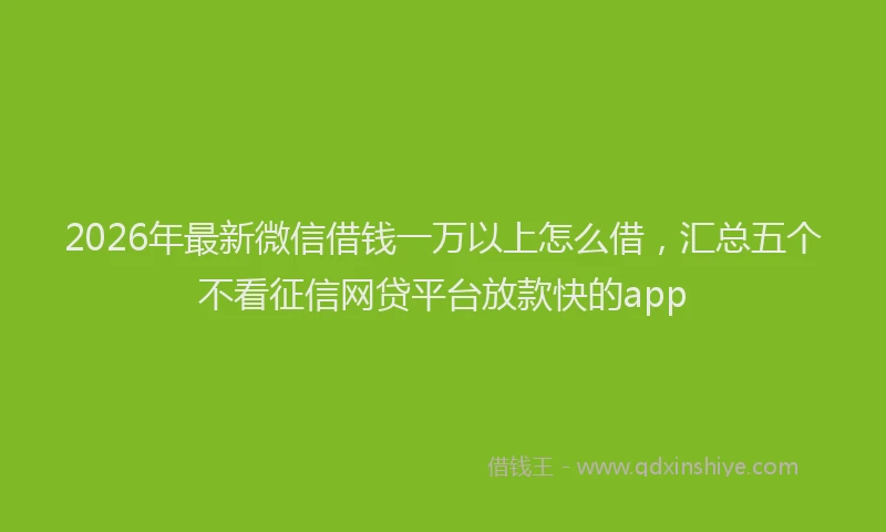 2026年最新微信借钱一万以上怎么借，汇总五个不看征信网贷平台放款快的app