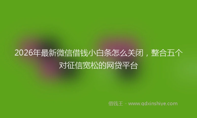 2026年最新微信借钱小白条怎么关闭，整合五个对征信宽松的网贷平台
