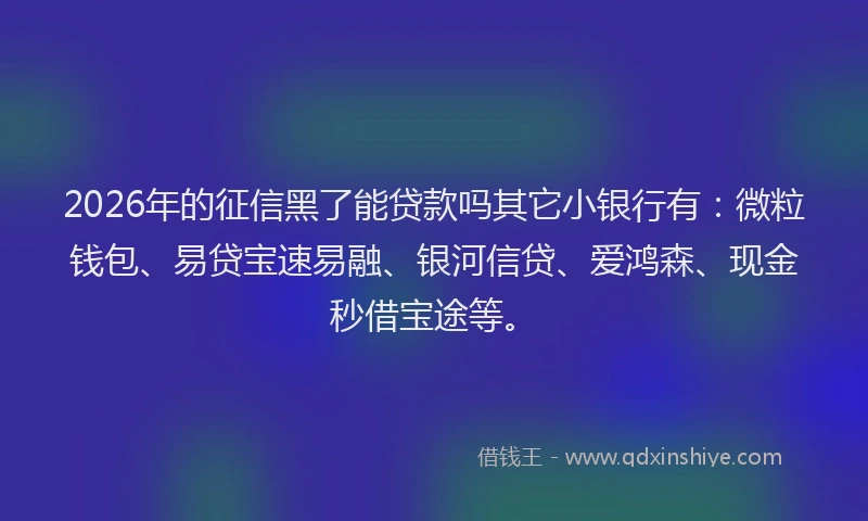 2026年的征信黑了能贷款吗其它小银行有：微粒钱包、易贷宝速易融、银河信贷、爱鸿森、现金秒借宝途等。