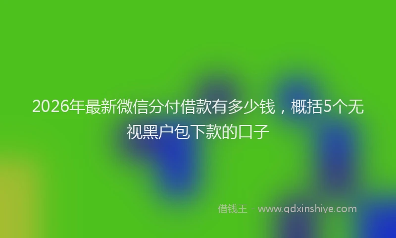 2026年最新微信分付借款有多少钱，概括5个无视黑户包下款的口子