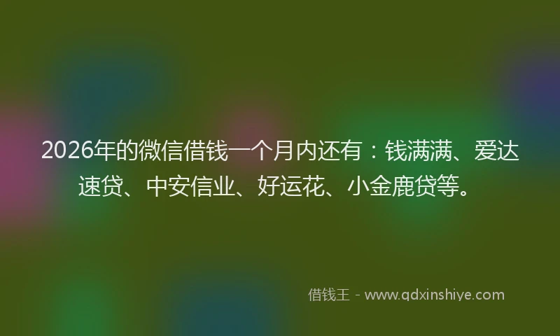 2026年的微信借钱一个月内还有：钱满满、爱达速贷、中安信业、好运花、小金鹿贷等。