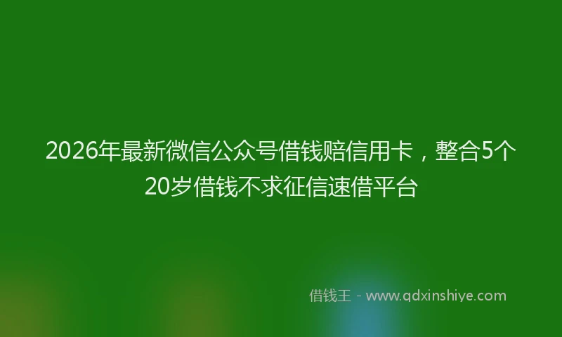 2026年最新微信公众号借钱赔信用卡，整合5个20岁借钱不求征信速借平台