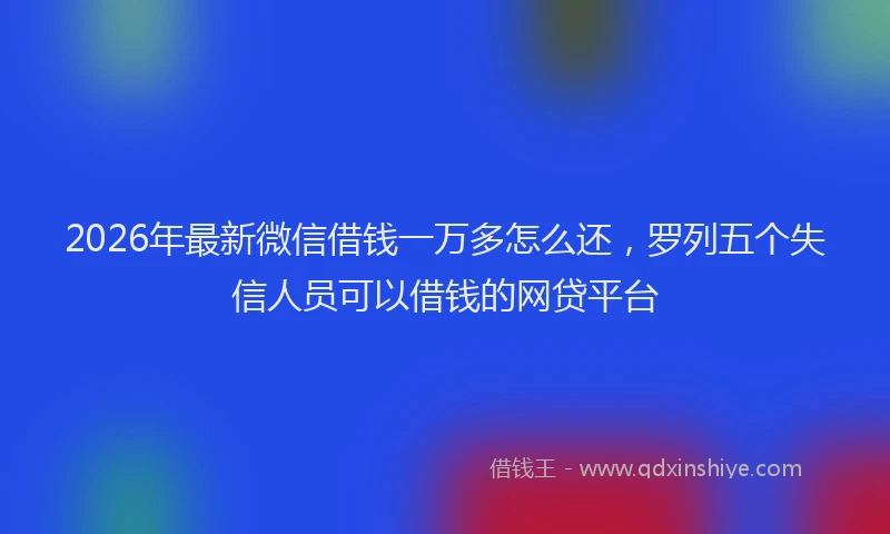 2026年最新微信借钱一万多怎么还，罗列五个失信人员可以借钱的网贷平台