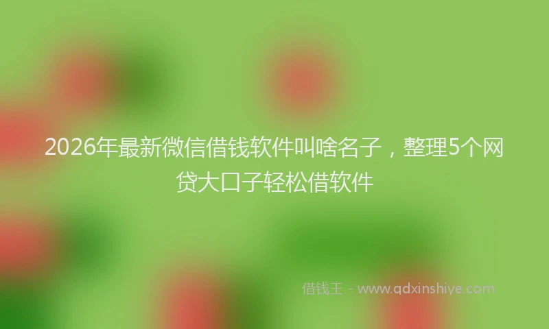2026年最新微信借钱软件叫啥名子，整理5个网贷大口子轻松借软件