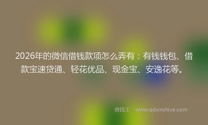 2026年的微信借钱款项怎么弄有：有钱钱包、借款宝速贷通、轻花优品、现金宝、安逸花等。